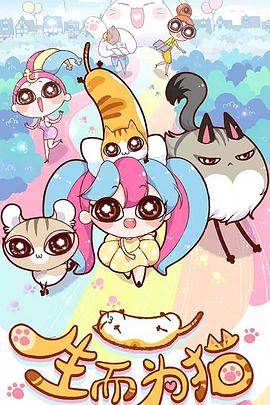 网页设计与网站优化